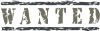 Search Wanted Ads